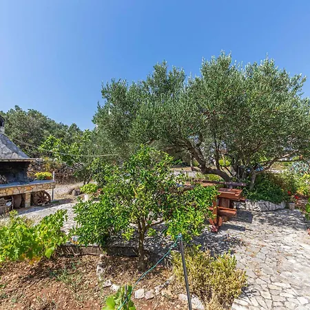 Apartment 2 Bedroom In Okrug Donji Donji Okrug (Ciovo)